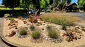 photo 1  dry garden at Las Flores Learning Garden- photo by author